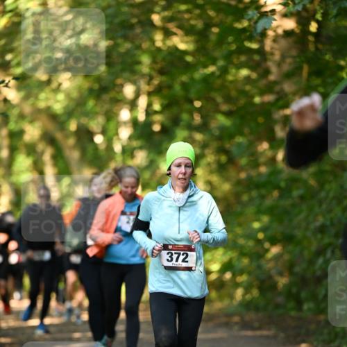 06.10.2024 - Bramfelder Halbmarathon 2024 Dr. Thomas Lammeyer http://msf.ph/oto/7335079 06.10.2024 09:53:57 Laufen 372 meine-sportfotos.de