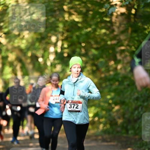 06.10.2024 - Bramfelder Halbmarathon 2024 Dr. Thomas Lammeyer http://msf.ph/oto/7335080 06.10.2024 09:53:57 Laufen 372 meine-sportfotos.de