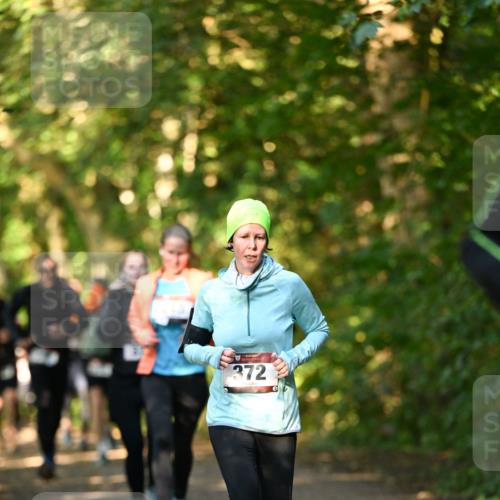 06.10.2024 - Bramfelder Halbmarathon 2024 Dr. Thomas Lammeyer http://msf.ph/oto/7335081 06.10.2024 09:53:57 Laufen 372 meine-sportfotos.de