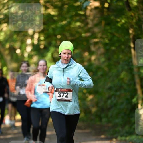 06.10.2024 - Bramfelder Halbmarathon 2024 Dr. Thomas Lammeyer http://msf.ph/oto/7335085 06.10.2024 09:53:57 Laufen 372 meine-sportfotos.de