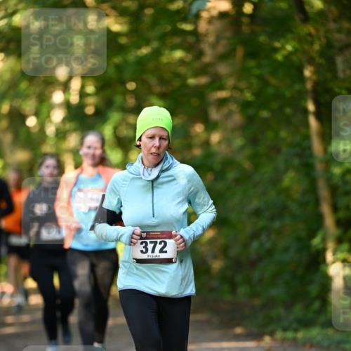 06.10.2024 - Bramfelder Halbmarathon 2024 Dr. Thomas Lammeyer http://msf.ph/oto/7335086 06.10.2024 09:53:58 Laufen 33, 372, 0 meine-sportfotos.de