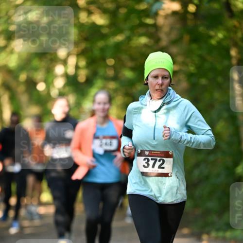 06.10.2024 - Bramfelder Halbmarathon 2024 Dr. Thomas Lammeyer http://msf.ph/oto/7335090 06.10.2024 09:53:58 Laufen 240, 372 meine-sportfotos.de