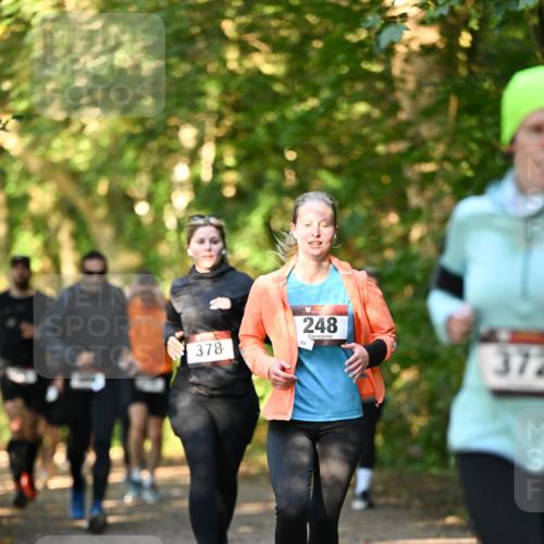 06.10.2024 - Bramfelder Halbmarathon 2024 Dr. Thomas Lammeyer http://msf.ph/oto/7335091 06.10.2024 09:53:59 Laufen 378, 83, 248, 372 meine-sportfotos.de