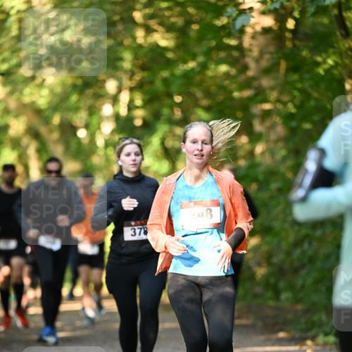 06.10.2024 - Bramfelder Halbmarathon 2024 Dr. Thomas Lammeyer http://msf.ph/oto/7335093 06.10.2024 09:53:59 Laufen 378, 248 meine-sportfotos.de