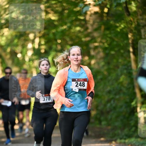 06.10.2024 - Bramfelder Halbmarathon 2024 Dr. Thomas Lammeyer http://msf.ph/oto/7335095 06.10.2024 09:53:59 Laufen 378, 248, 83 meine-sportfotos.de