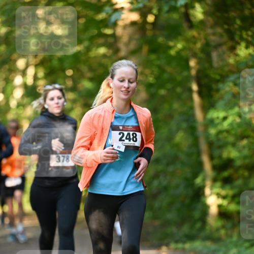06.10.2024 - Bramfelder Halbmarathon 2024 Dr. Thomas Lammeyer http://msf.ph/oto/7335099 06.10.2024 09:54:00 Laufen 378, 248, 83 meine-sportfotos.de