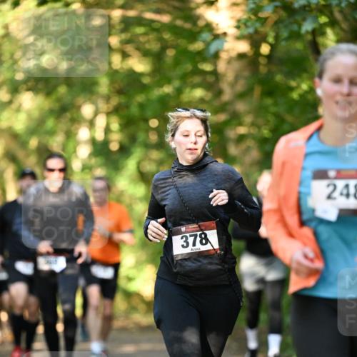 06.10.2024 - Bramfelder Halbmarathon 2024 Dr. Thomas Lammeyer http://msf.ph/oto/7335101 06.10.2024 09:54:01 Laufen 378, 248 meine-sportfotos.de