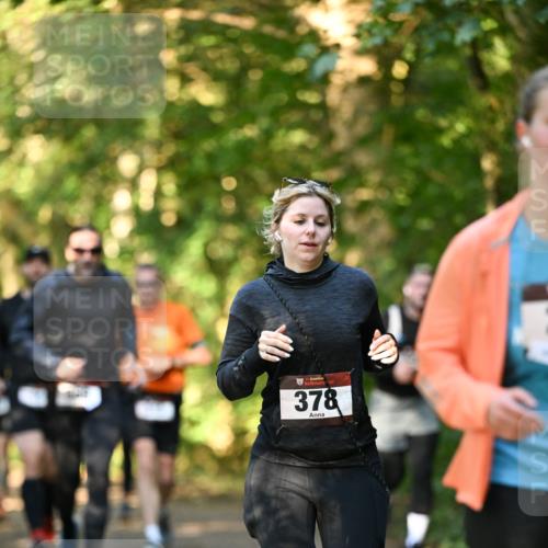 06.10.2024 - Bramfelder Halbmarathon 2024 Dr. Thomas Lammeyer http://msf.ph/oto/7335102 06.10.2024 09:54:01 Laufen 33, 378 meine-sportfotos.de