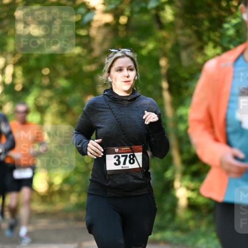 06.10.2024 - Bramfelder Halbmarathon 2024 Dr. Thomas Lammeyer http://msf.ph/oto/7335105 06.10.2024 09:54:01 Laufen 11, 33, 378 meine-sportfotos.de