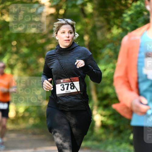 06.10.2024 - Bramfelder Halbmarathon 2024 Dr. Thomas Lammeyer http://msf.ph/oto/7335106 06.10.2024 09:54:02 Laufen 33, 378 meine-sportfotos.de