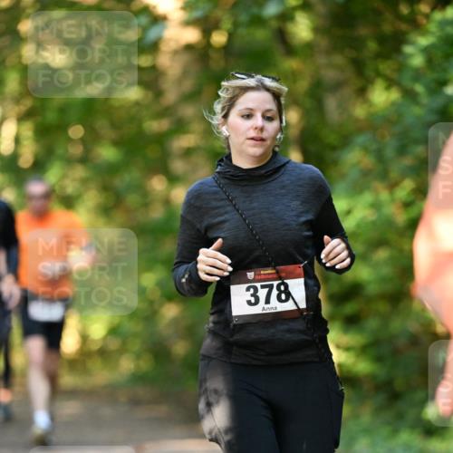 06.10.2024 - Bramfelder Halbmarathon 2024 Dr. Thomas Lammeyer http://msf.ph/oto/7335107 06.10.2024 09:54:02 Laufen 378 meine-sportfotos.de