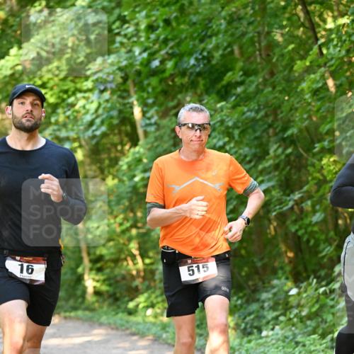 06.10.2024 - Bramfelder Halbmarathon 2024 Dr. Thomas Lammeyer http://msf.ph/oto/7335134 06.10.2024 09:54:07 Laufen 16, 515 meine-sportfotos.de