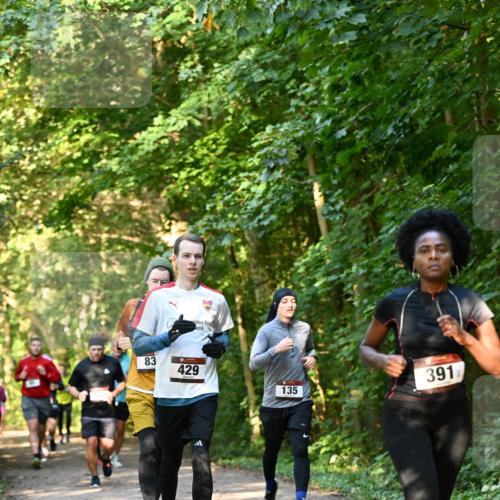 06.10.2024 - Bramfelder Halbmarathon 2024 Dr. Thomas Lammeyer http://msf.ph/oto/7335149 06.10.2024 09:54:11 Laufen 83, 429, 391, 135 meine-sportfotos.de