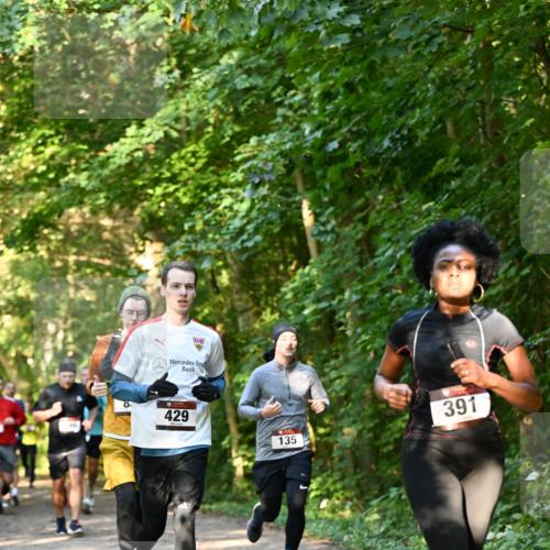 06.10.2024 - Bramfelder Halbmarathon 2024 Dr. Thomas Lammeyer http://msf.ph/oto/7335150 06.10.2024 09:54:12 Laufen 429, 391, 135 meine-sportfotos.de