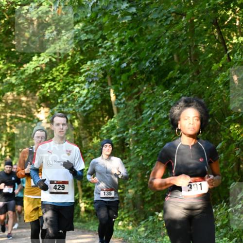 06.10.2024 - Bramfelder Halbmarathon 2024 Dr. Thomas Lammeyer http://msf.ph/oto/7335151 06.10.2024 09:54:12 Laufen 518, 429, 135, 391 meine-sportfotos.de