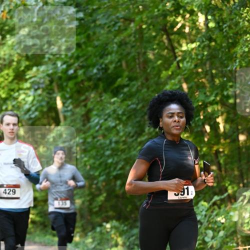 06.10.2024 - Bramfelder Halbmarathon 2024 Dr. Thomas Lammeyer http://msf.ph/oto/7335152 06.10.2024 09:54:12 Laufen 429, 135, 91 meine-sportfotos.de