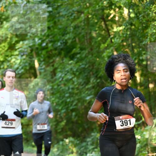 06.10.2024 - Bramfelder Halbmarathon 2024 Dr. Thomas Lammeyer http://msf.ph/oto/7335153 06.10.2024 09:54:12 Laufen 429, 135, 391 meine-sportfotos.de