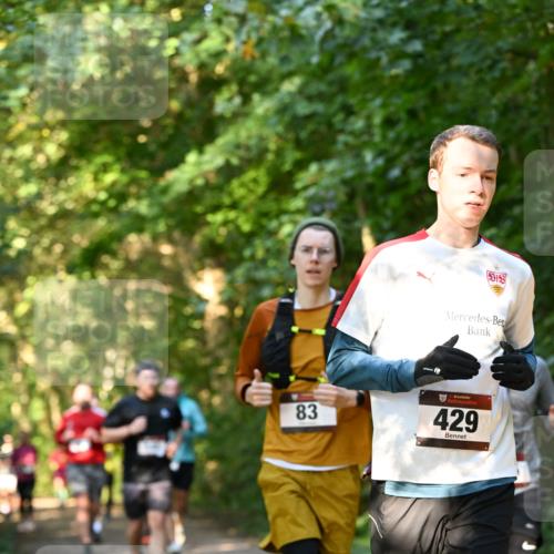 06.10.2024 - Bramfelder Halbmarathon 2024 Dr. Thomas Lammeyer http://msf.ph/oto/7335156 06.10.2024 09:54:13 Laufen 83, 429 meine-sportfotos.de