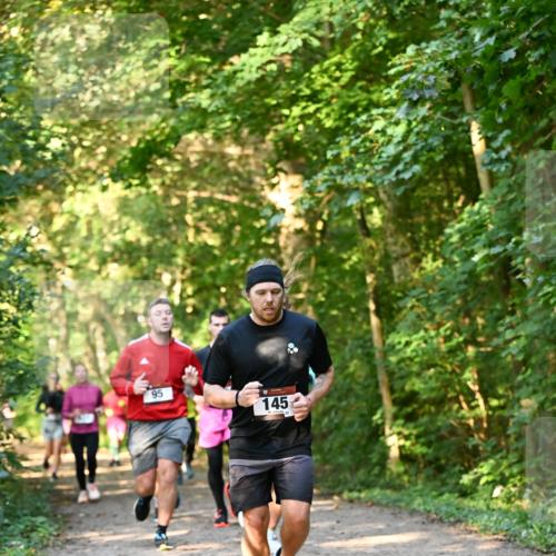 06.10.2024 - Bramfelder Halbmarathon 2024 Dr. Thomas Lammeyer http://msf.ph/oto/7335159 06.10.2024 09:54:14 Laufen 95, 145 meine-sportfotos.de