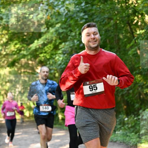 06.10.2024 - Bramfelder Halbmarathon 2024 Dr. Thomas Lammeyer http://msf.ph/oto/7335184 06.10.2024 09:54:18 Laufen 140, 33, 95 meine-sportfotos.de