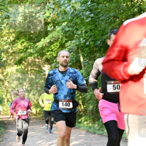 06.10.2024 - Bramfelder Halbmarathon 2024 Dr. Thomas Lammeyer http://msf.ph/oto/7335186 06.10.2024 09:54:19 Laufen 431, 140, 39, 50 meine-sportfotos.de
