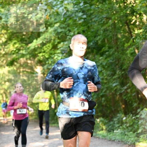 06.10.2024 - Bramfelder Halbmarathon 2024 Dr. Thomas Lammeyer http://msf.ph/oto/7335190 06.10.2024 09:54:20 Laufen 0 meine-sportfotos.de