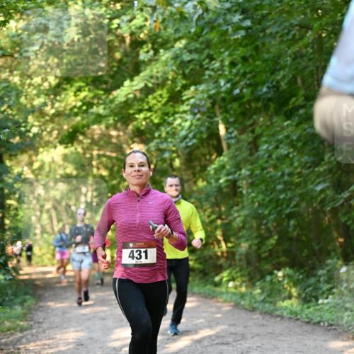06.10.2024 - Bramfelder Halbmarathon 2024 Dr. Thomas Lammeyer http://msf.ph/oto/7335193 06.10.2024 09:54:20 Laufen 431 meine-sportfotos.de