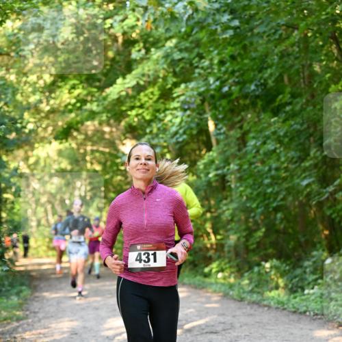 06.10.2024 - Bramfelder Halbmarathon 2024 Dr. Thomas Lammeyer http://msf.ph/oto/7335194 06.10.2024 09:54:21 Laufen 431 meine-sportfotos.de