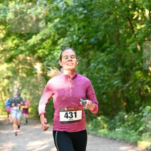 06.10.2024 - Bramfelder Halbmarathon 2024 Dr. Thomas Lammeyer http://msf.ph/oto/7335197 06.10.2024 09:54:21 Laufen 33, 431 meine-sportfotos.de