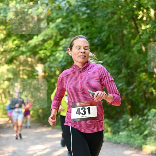 06.10.2024 - Bramfelder Halbmarathon 2024 Dr. Thomas Lammeyer http://msf.ph/oto/7335198 06.10.2024 09:54:21 Laufen 33, 431 meine-sportfotos.de