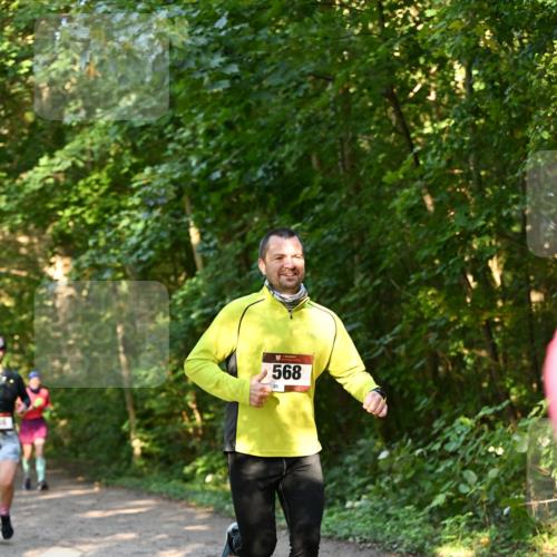 06.10.2024 - Bramfelder Halbmarathon 2024 Dr. Thomas Lammeyer http://msf.ph/oto/7335201 06.10.2024 09:54:22 Laufen 16, 568 meine-sportfotos.de