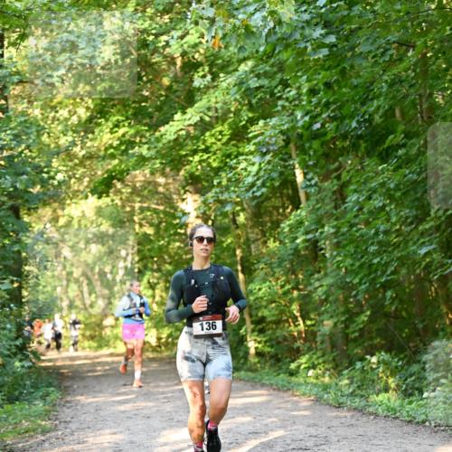 06.10.2024 - Bramfelder Halbmarathon 2024 Dr. Thomas Lammeyer http://msf.ph/oto/7335206 06.10.2024 09:54:23 Laufen 136 meine-sportfotos.de