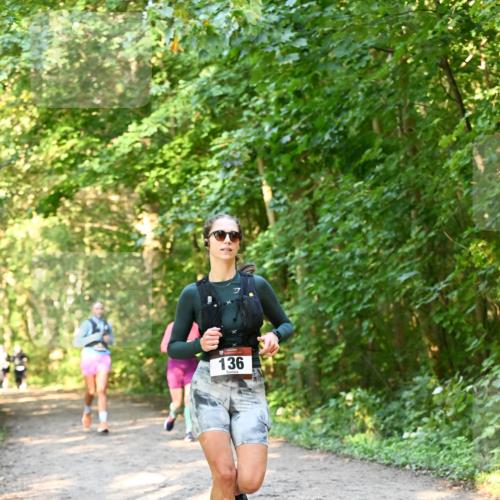 06.10.2024 - Bramfelder Halbmarathon 2024 Dr. Thomas Lammeyer http://msf.ph/oto/7335210 06.10.2024 09:54:24 Laufen 136 meine-sportfotos.de