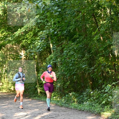 06.10.2024 - Bramfelder Halbmarathon 2024 Dr. Thomas Lammeyer http://msf.ph/oto/7335217 06.10.2024 09:54:25 Laufen  meine-sportfotos.de
