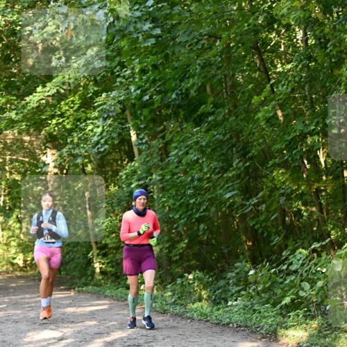 06.10.2024 - Bramfelder Halbmarathon 2024 Dr. Thomas Lammeyer http://msf.ph/oto/7335219 06.10.2024 09:54:26 Laufen  meine-sportfotos.de