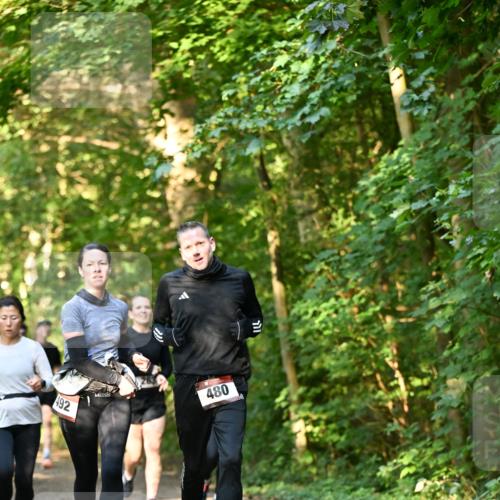 06.10.2024 - Bramfelder Halbmarathon 2024 Dr. Thomas Lammeyer http://msf.ph/oto/7335234 06.10.2024 09:54:37 Laufen 492, 480 meine-sportfotos.de