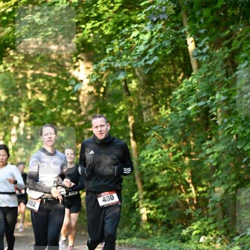 06.10.2024 - Bramfelder Halbmarathon 2024 Dr. Thomas Lammeyer http://msf.ph/oto/7335235 06.10.2024 09:54:37 Laufen 492, 480 meine-sportfotos.de