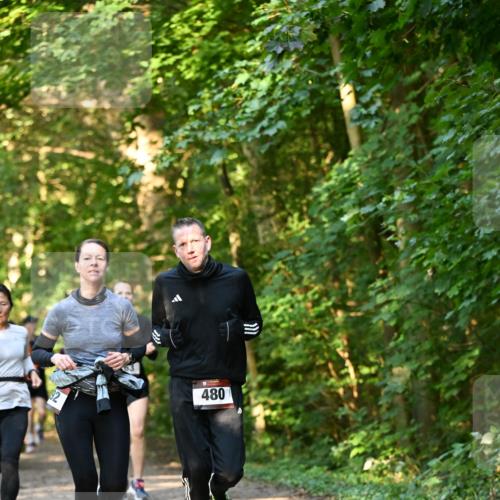 06.10.2024 - Bramfelder Halbmarathon 2024 Dr. Thomas Lammeyer http://msf.ph/oto/7335238 06.10.2024 09:54:38 Laufen 480 meine-sportfotos.de