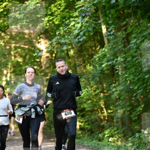 06.10.2024 - Bramfelder Halbmarathon 2024 Dr. Thomas Lammeyer http://msf.ph/oto/7335239 06.10.2024 09:54:38 Laufen 492, 480 meine-sportfotos.de