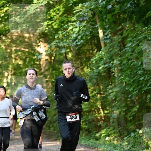 06.10.2024 - Bramfelder Halbmarathon 2024 Dr. Thomas Lammeyer http://msf.ph/oto/7335241 06.10.2024 09:54:38 Laufen 480 meine-sportfotos.de