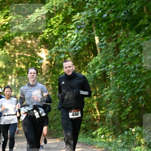 06.10.2024 - Bramfelder Halbmarathon 2024 Dr. Thomas Lammeyer http://msf.ph/oto/7335242 06.10.2024 09:54:38 Laufen 480 meine-sportfotos.de