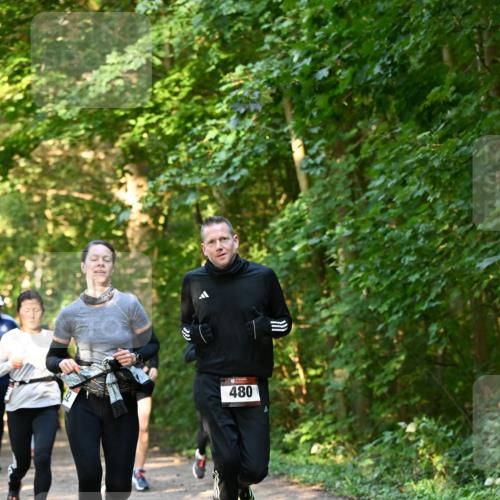06.10.2024 - Bramfelder Halbmarathon 2024 Dr. Thomas Lammeyer http://msf.ph/oto/7335243 06.10.2024 09:54:38 Laufen 480 meine-sportfotos.de