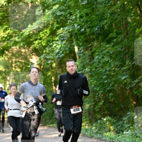 06.10.2024 - Bramfelder Halbmarathon 2024 Dr. Thomas Lammeyer http://msf.ph/oto/7335246 06.10.2024 09:54:39 Laufen 92, 480 meine-sportfotos.de