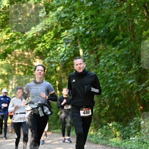 06.10.2024 - Bramfelder Halbmarathon 2024 Dr. Thomas Lammeyer http://msf.ph/oto/7335247 06.10.2024 09:54:39 Laufen 480 meine-sportfotos.de