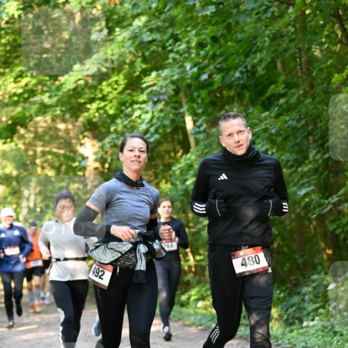 06.10.2024 - Bramfelder Halbmarathon 2024 Dr. Thomas Lammeyer http://msf.ph/oto/7335249 06.10.2024 09:54:39 Laufen 492, 261, 480 meine-sportfotos.de