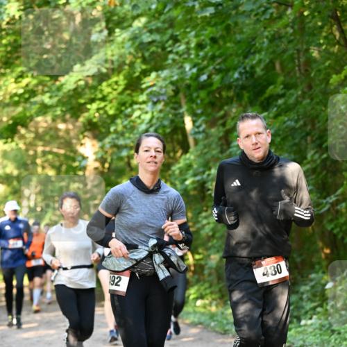 06.10.2024 - Bramfelder Halbmarathon 2024 Dr. Thomas Lammeyer http://msf.ph/oto/7335250 06.10.2024 09:54:39 Laufen 192, 430 meine-sportfotos.de