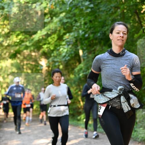 06.10.2024 - Bramfelder Halbmarathon 2024 Dr. Thomas Lammeyer http://msf.ph/oto/7335251 06.10.2024 09:54:40 Laufen 12 meine-sportfotos.de
