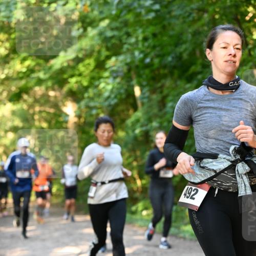 06.10.2024 - Bramfelder Halbmarathon 2024 Dr. Thomas Lammeyer http://msf.ph/oto/7335252 06.10.2024 09:54:40 Laufen 492, 2 meine-sportfotos.de