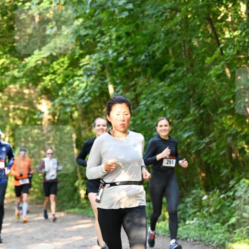 06.10.2024 - Bramfelder Halbmarathon 2024 Dr. Thomas Lammeyer http://msf.ph/oto/7335255 06.10.2024 09:54:41 Laufen 261 meine-sportfotos.de