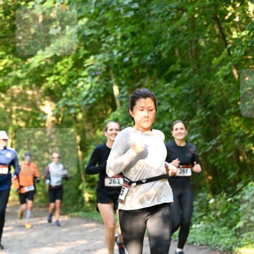 06.10.2024 - Bramfelder Halbmarathon 2024 Dr. Thomas Lammeyer http://msf.ph/oto/7335256 06.10.2024 09:54:41 Laufen 263, 261 meine-sportfotos.de